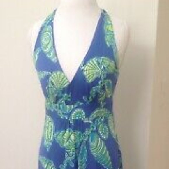 Sweet Lily Pulitzer Maxi Dress - Picture 2 of 6